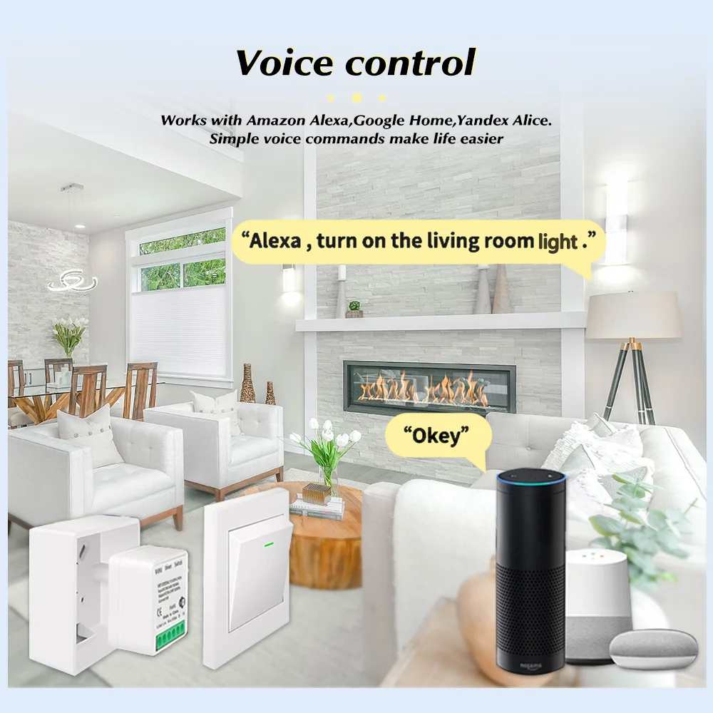 Tuya Mini Akıllı WiFi Anahtarı - Home Assistant Tuya incelemesi ve fiyatı
