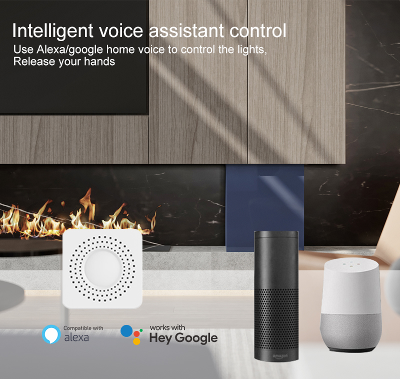Tuya Mini Akıllı Anahtar WiFi  - Home Assistant Tuya incelemesi ve fiyatı