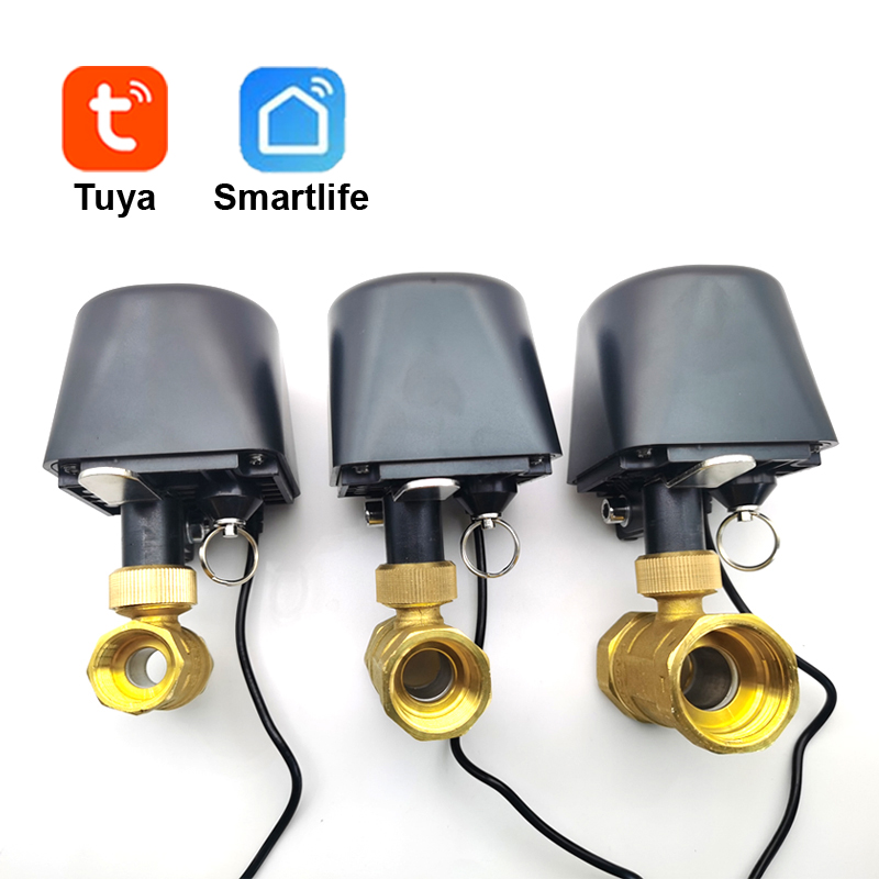 Tuya WiFi veya Zigbee Su Vanas - Home Assistant Tuya incelemesi ve fiyatı